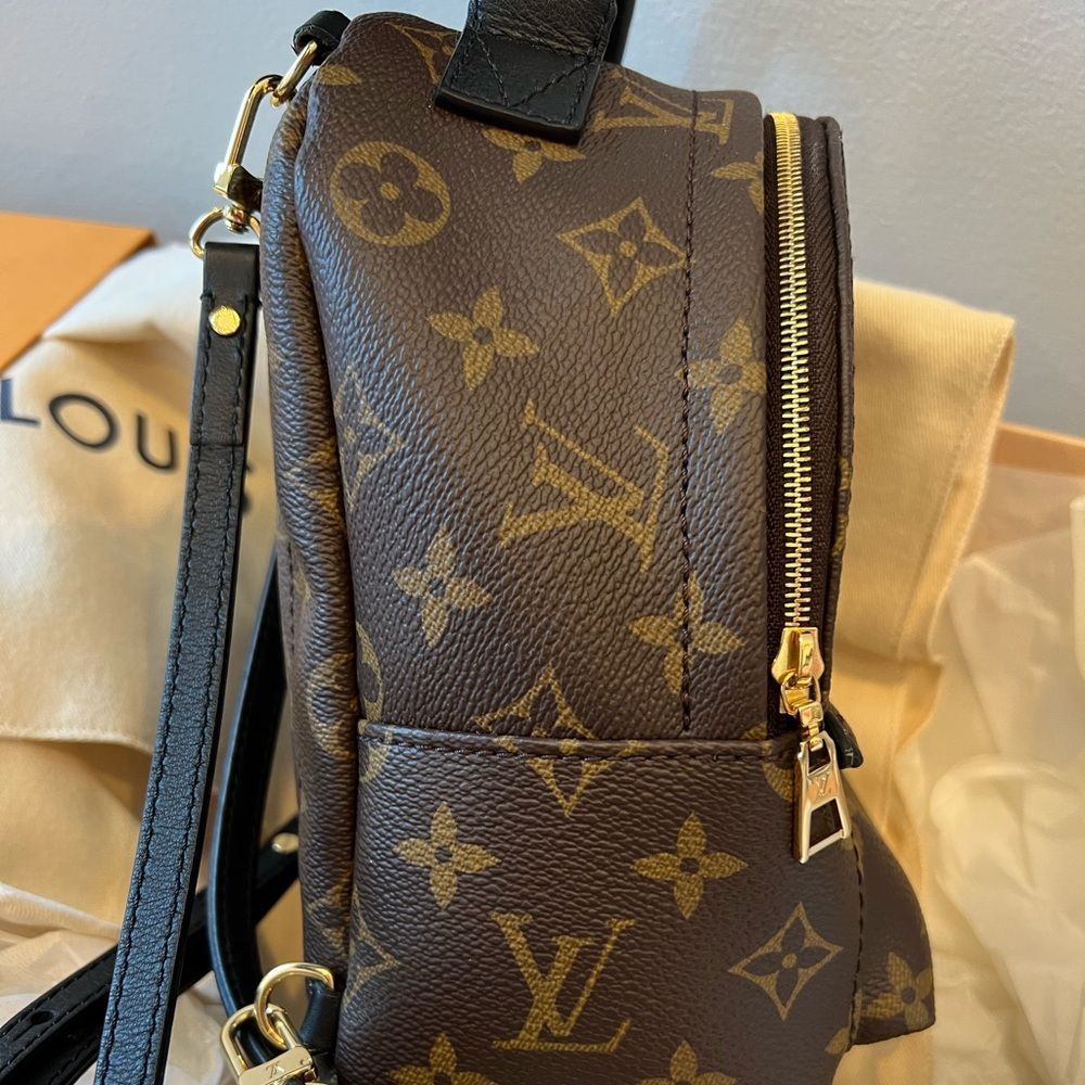 LOUIS VUITTON (LV) PALM SPRINGS MINI BACKPACK - Picture 8 of 14